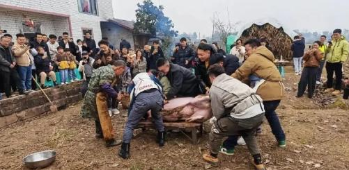 可爱的“呆呆”与善良的人民--“按猪宴”走红的浅层逻辑