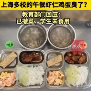 当校园午餐沦为孩子的“隐形毒药”