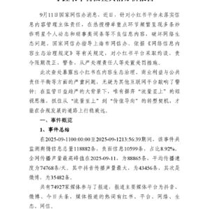 小红书被查舆情分析报道