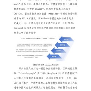 DeepSeek走热全球，标杆之下国产AI仍需求索