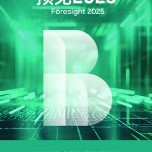 【罗兰贝格】预见2025：中国行业趋势报告