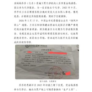 当公立医院成为代孕黑产链的“官方认证”