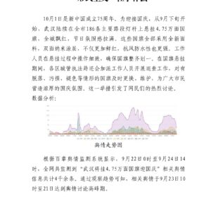 武汉挂4.75万面国旗引热议,爱国主义与“形式主义”在争什么