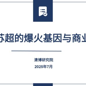 苏超爆火出圈分析报告
