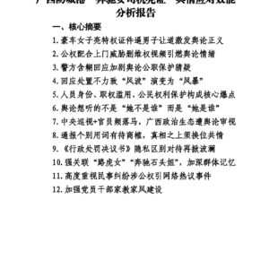 广西防城港“奔驰女司机亮证”舆情应对效能分析报告