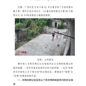 7月男婴被2名女童杀害未立案引未成年人犯罪治理难题讨论