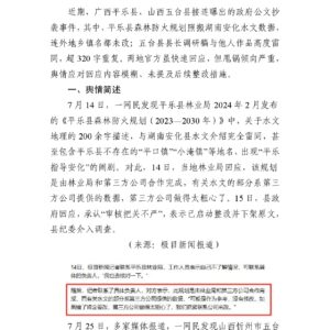 公文抄袭事件：官方甩锅背后藏多少漏洞？