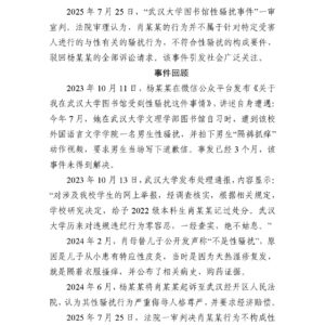 武汉大学图书馆事件的三重舆情透视