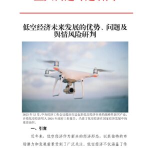 低空经济未来发展的优势、问题及舆情风险研判报告(3)