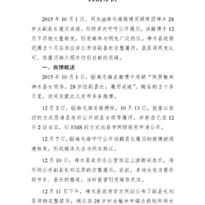 陕西神木“28岁女副县长履历门”事件舆情分析