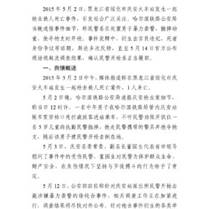 “黑龙江庆安县火车站枪击”事件舆情分析