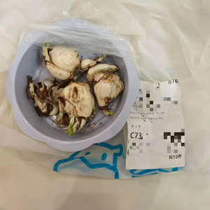 盒马误送水仙球致消费者中毒事件网络舆情分析报告