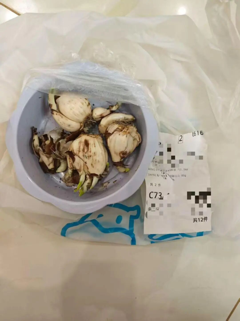 盒马误送水仙球致消费者中毒事件网络舆情分析报告