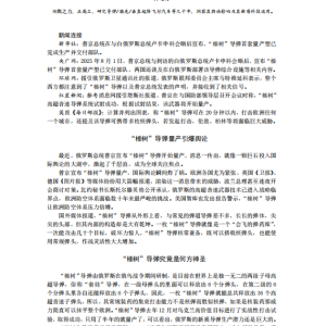 “榛树”导弹的量产掀起舆论惊涛骇浪