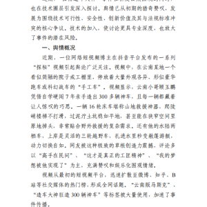 “云南造车大神”事件舆情分析报告