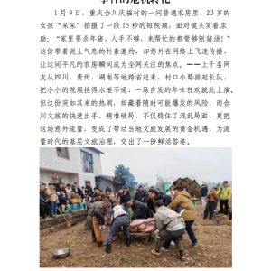 从舆情风险到文旅红利：呆呆“万人领筷”事件的危机转化