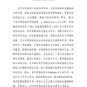 一场没有输家的战争：印巴冲突“双赢”背后的认知战较量