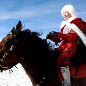 高度共识下的另一面：贺娇龙事件舆情观察