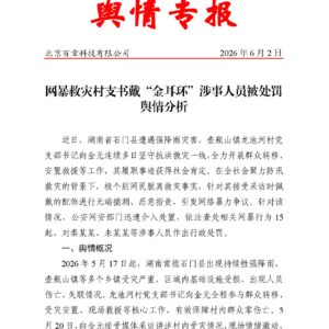 网暴救灾村支书戴“金耳环”涉事人员被处罚舆情分析